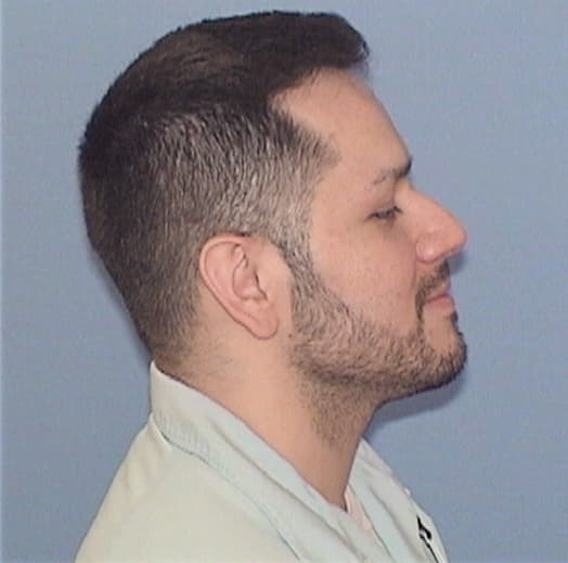ESPINO, ANTONIO, Kane County  IL