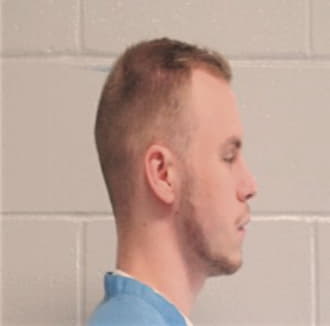 HAMANN, ZACHARY R., McHenry County  IL