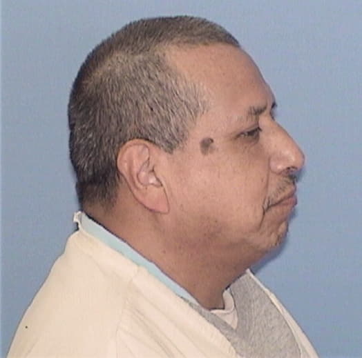 TORRES-VASQUEZ, VICENTE, Lake County  IL