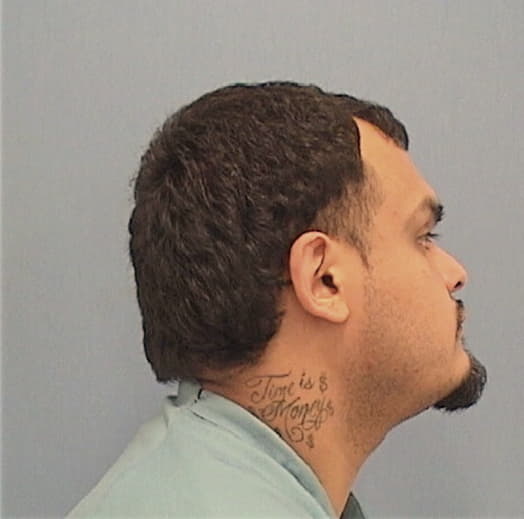 HERNANDEZ, JULIO, Kane County  IL