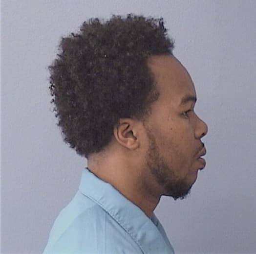 HOLT, LYNNTEZ J., Champaign County  IL