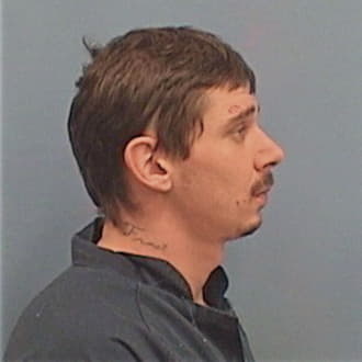 WHITE, JOSHUA M., Madison County  IL