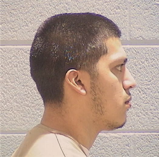 ZARAGOZA, SAUL, Cook County  IL