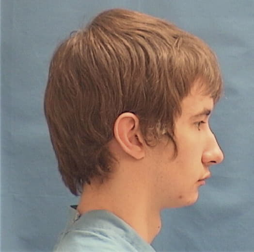 NORBERG, EVAN L., Henry County  IL