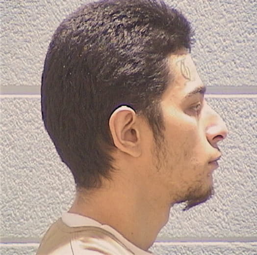 ANAYA, APOLLONIO F., Cook County  IL