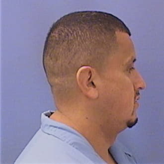 GUZMAN, RICARDO, Cook County  IL