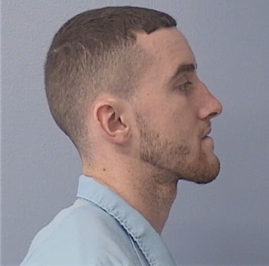 NEWBERRY, JACOB M., Will County  IL