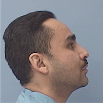 VIDEGARAY, PASCUAL, Kane County  IL