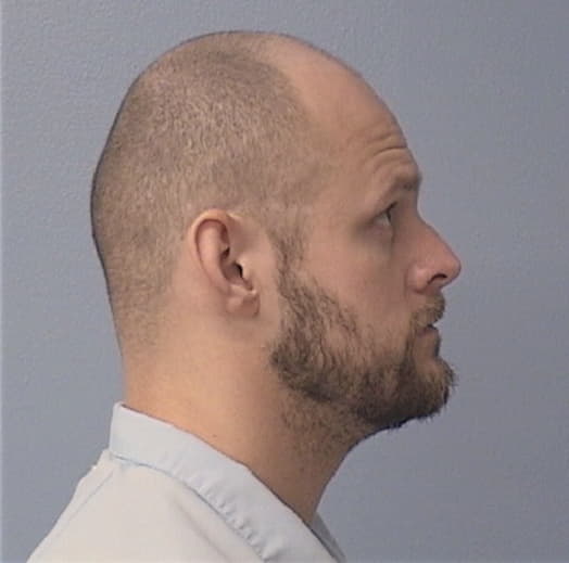 BLANEY, MICHAEL, McHenry County  IL