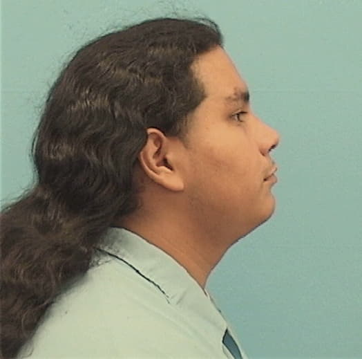 GALVAN, JOSE, Cook County  IL