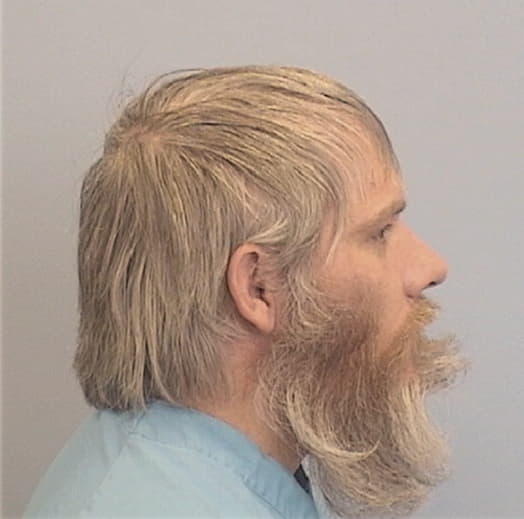 PARSANO, BRANDON L., McDonough County  IL