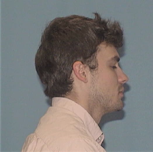 PULLINS, NICHOLAS A., Hancock County  IL
