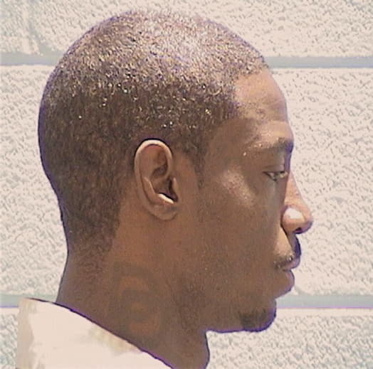 PEARSON, MICHAEL L., Cook County  IL