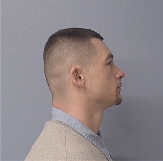 JANES, TROY D., Lasalle County  IL