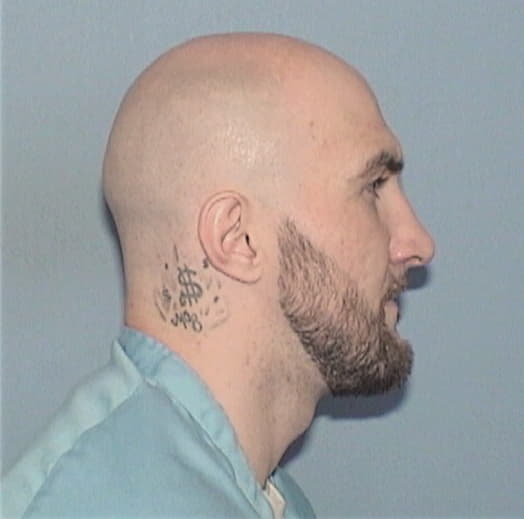 PICCINI, MICHAEL J., Kankakee County  IL
