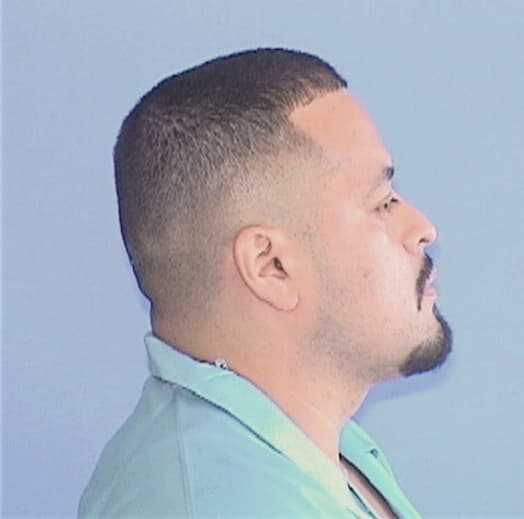 HERNANDEZ, CRISTO, Cook County  IL