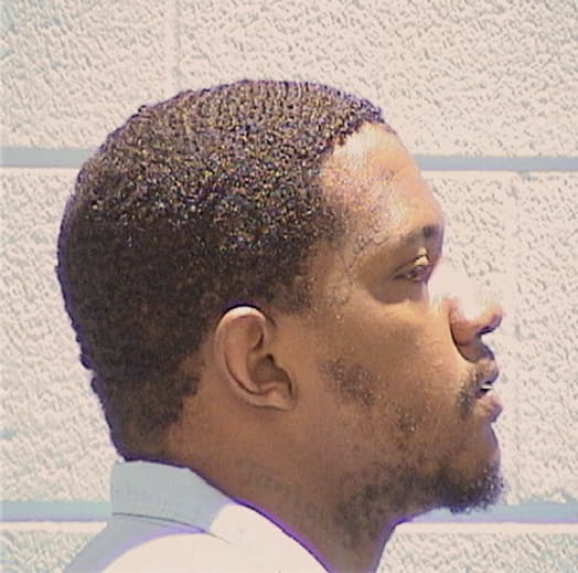 MONROE, TAVARIS, Cook County  IL