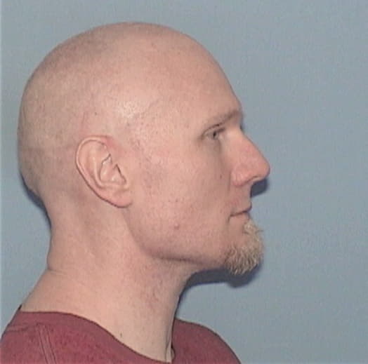 BORGMANN, MICHAEL, Winnebago County  IL