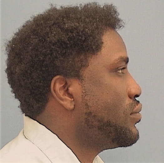YOUNG, CHARLES, Cook County  IL