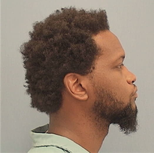BRUNSON, BRANDON, Cook County  IL