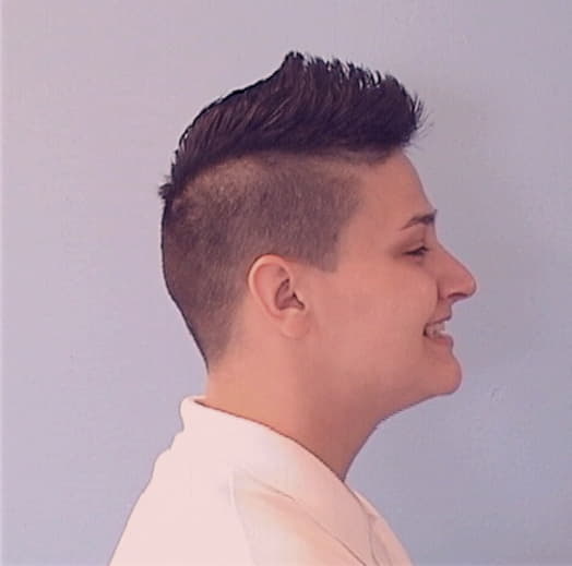 DEFALCO, STEPHANIE J., DuPage County  IL