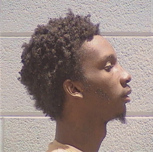 SCALES, ANTHONY A., Lake County  IL