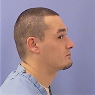 ELMORE, JOSHUA J., Cook County  IL