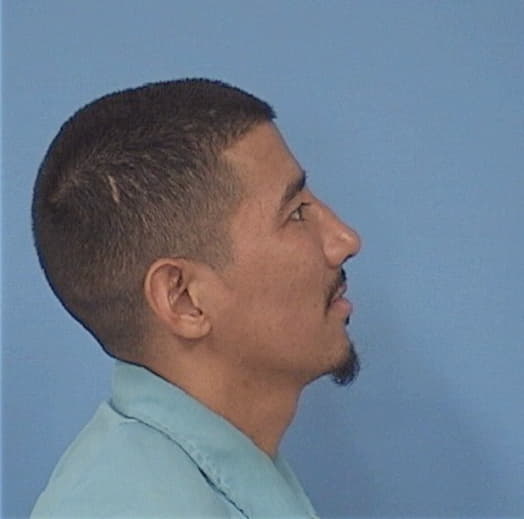 PORTILLO-ALFARO, OSCAR, Cook County  IL