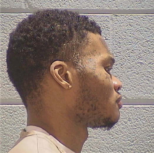 HENSON, TERRENCE, Cook County  IL
