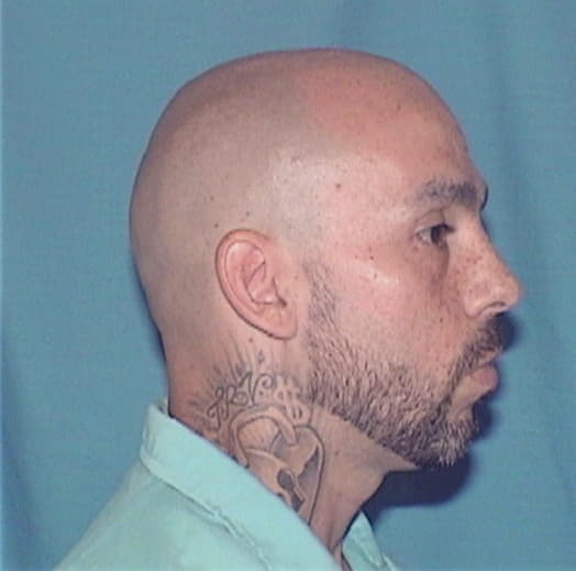 VALDESPINO, ARMONDO J., Madison County  IL