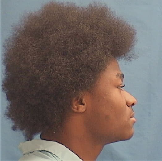 SAULSBERRY, DAVON, Kane County  IL