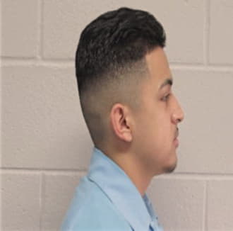 ANAYA, IGNACIO S., Kane County  IL