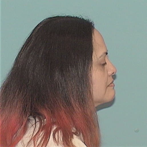 SANTILLAN, BERENICE L., Livingston County  IL