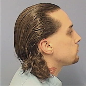 FRANCESCHI, ANTHONY, Cook County  IL
