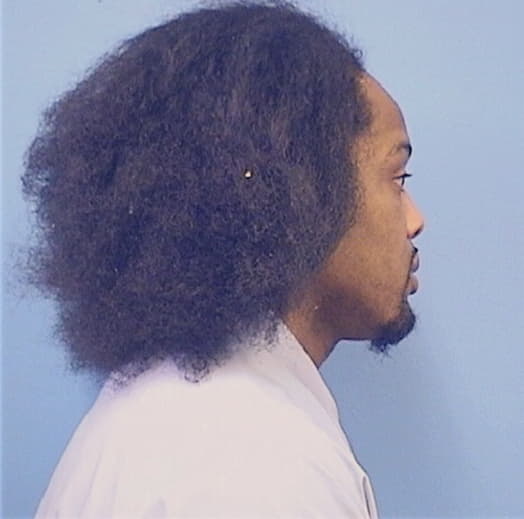 WILLIAMS, JAMES L., Kankakee County  IL