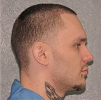 BOGOVICH, STEVEN, Cook County  IL