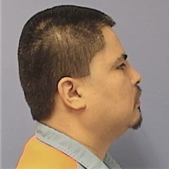 REYNA, MANUEL, Winnebago County  IL