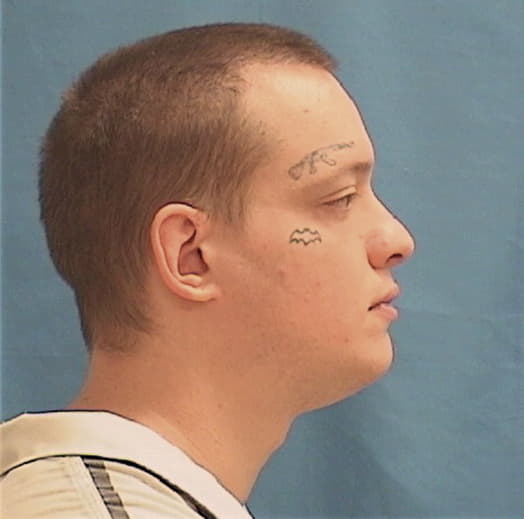 DESILVA, CODY T., Sangamon County  IL