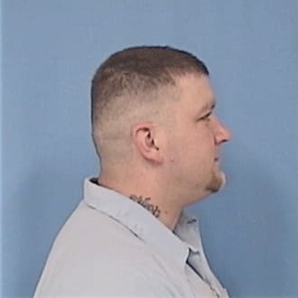 SWAN, TERRY L., Madison County  IL