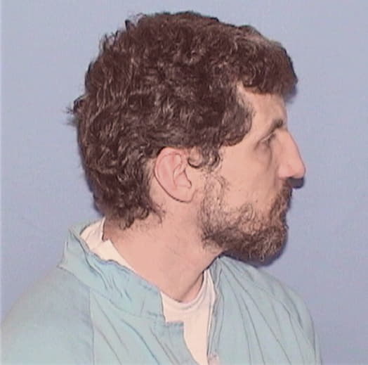 DEANGELES, LEONARD F., Tazewell County  IL