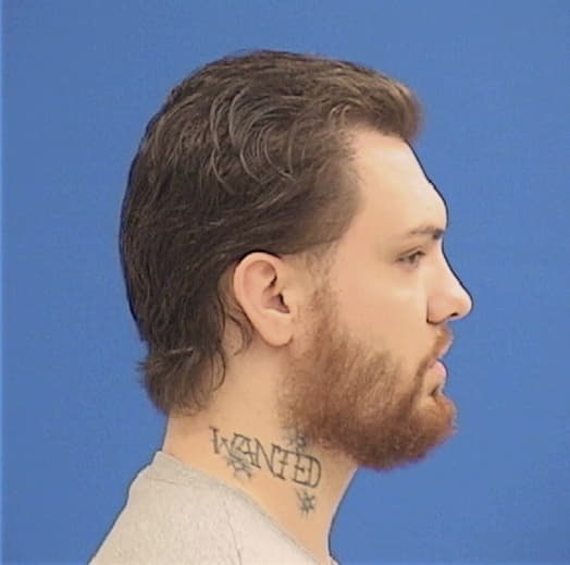 MERTZ, DENNIS J., Winnebago County  IL