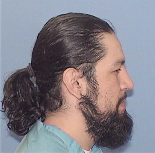 ORTIZ MALDONADO, PEDRO, Kane County  IL