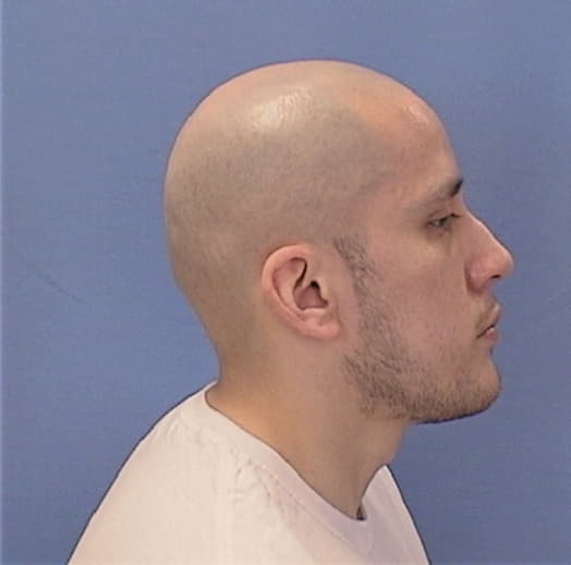 ALANIZ, ALEXANDRO, Cook County  IL