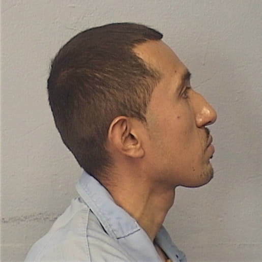 ALCARAZ, EFRAIN, Cook County  IL