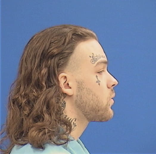 SUBGRUNSKI, MICHAEL R., Lasalle County  IL