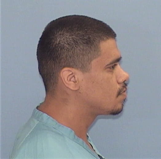 NAVARRO, MARIO A., Winnebago County  IL