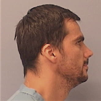 MUNTEANU, RENATO, Kane County  IL