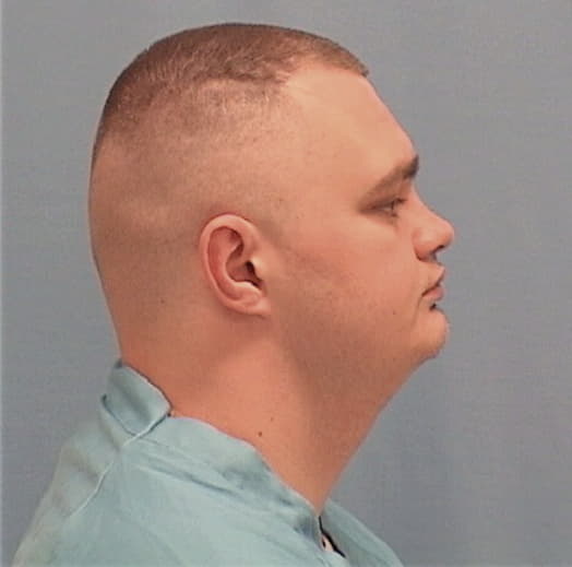 MADDOX, AUSTIN R., Tazewell County  IL