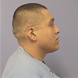 LOEW, DANIEL J., Montgomery County  IL
