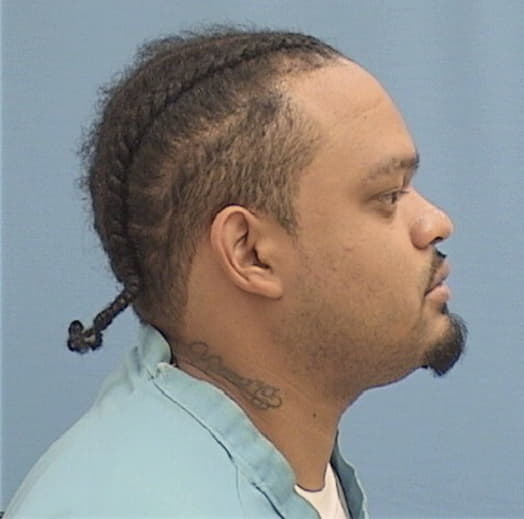 MEDEL, ROMAN III, Will County  IL